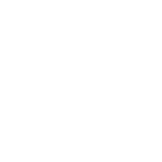 DHL 2